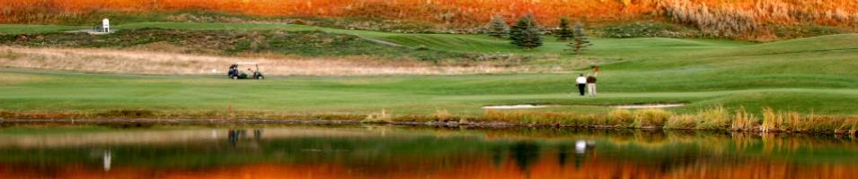 Golf Experience